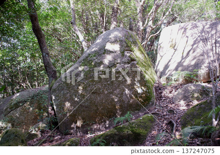 高知縣東神壇遺址南環巨石 高知縣東神壇遺址南環巨石 137247075