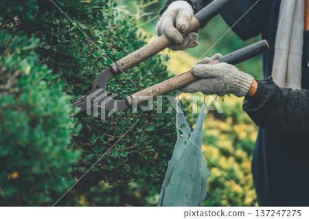 pruning, gents, male 137247275