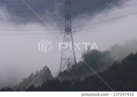 晨霧靜靜地籠罩著輸電塔。 晨霧靜靜地籠罩著輸電塔。 137247418