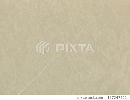 Beige paper background. Ecru grunge rectangle cardboard. Creamy textured sheet. Vintage canvas with gold speckles 137247521