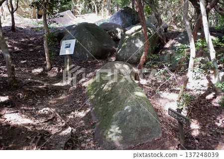 Kochi Prefecture Tojindaba Ruins, East Circle Kochi Prefecture Tojindaba Ruins, East Circle 137248039