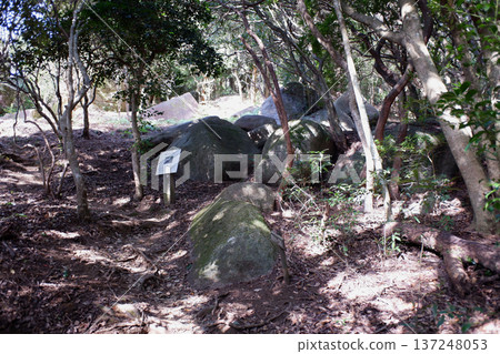 高知縣東神壇遺址東圈 高知縣東神壇遺址東圈 137248053