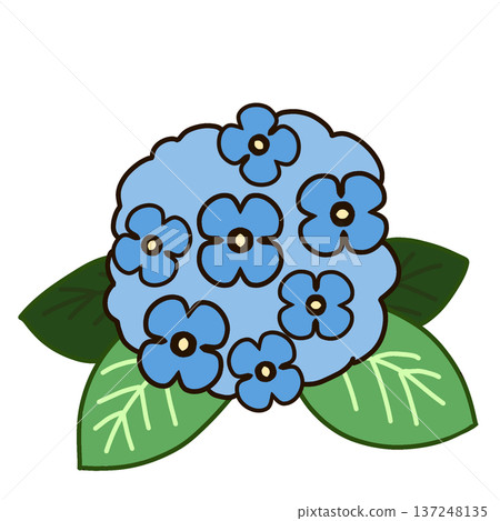 Simple illustration icon of hydrangea (blue) Simple illustration icon of hydrangea (blue) 137248135