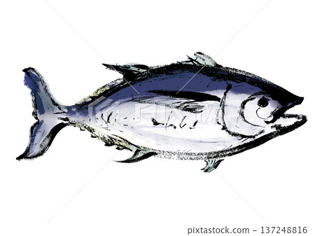 Japanese-style brush-drawn illustration of tuna facing right 137248816