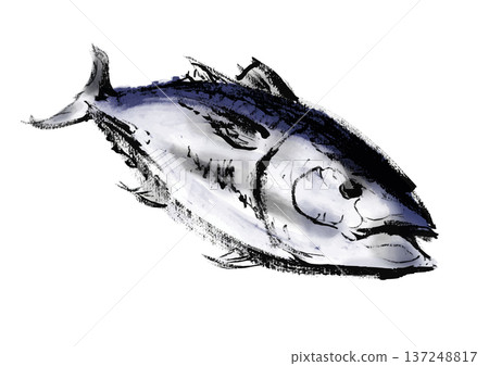 日式水墨畫風格的鮪魚插圖，魚頭朝右 137248817