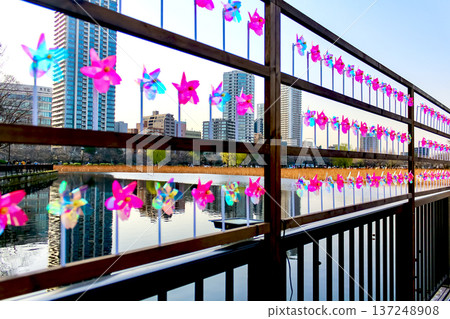 [Tokyo] Spring in Ueno Park: Shinobazu Pond lined with cherry blossom-shaped windmills 137248908