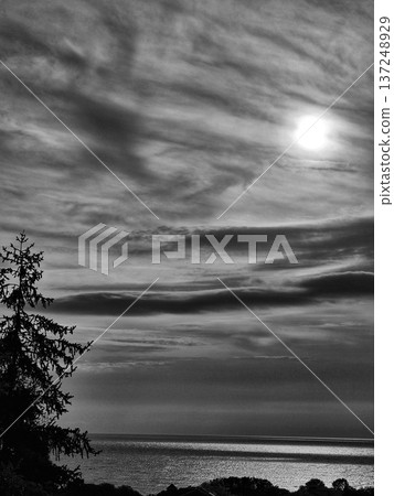 Dramatic sunrise over the sea.Seascape with sunrise and tree silhouette. black ang white photo Dramatic sunrise over the sea.Seascape with sunrise and tree silhouette. black ang white photo 137248929