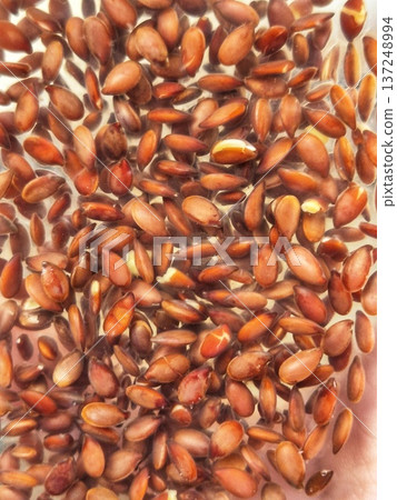 soaked flax seeds. jelly-like flax seeds 137248994