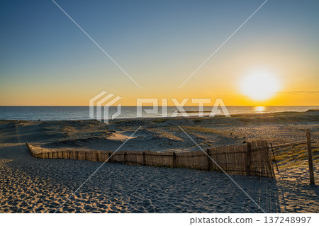 Scenery of Nakatajima Sand Dunes in Hamamatsu City (Shizuoka Prefecture) 137248997