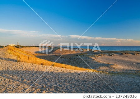 靜岡縣濱松市中田島沙丘的景色 靜岡縣濱松市中田島沙丘的景色 137249036