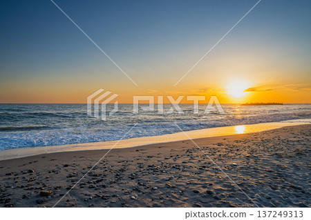 靜岡縣濱松市中田島沙丘的景色 137249313