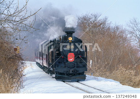 SL冬季濕地C11 171蒸汽機車行駛在白雪皚皚的釧路濕地 137249348