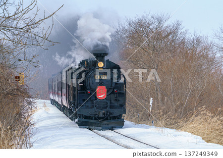 SL冬季濕地C11 171蒸汽機車行駛在白雪皚皚的釧路濕地 SL冬季濕地C11 171蒸汽機車行駛在白雪皚皚的釧路濕地 137249349