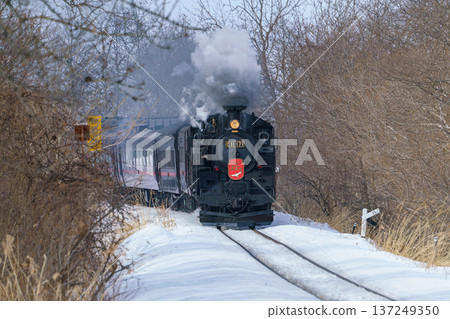 SL冬季濕地C11 171蒸汽機車行駛在白雪皚皚的釧路濕地 SL冬季濕地C11 171蒸汽機車行駛在白雪皚皚的釧路濕地 137249350