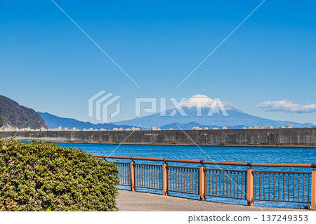 從靜岡縣燒津市燒津漁港眺望富士山 137249353