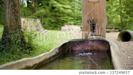 Wooden water fountain flows through a long trough in a green forest with picnic area nearby Wooden water fountain flows through a long trough in a green forest with picnic area nearby 137249657