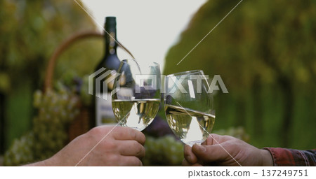 Couple enjoying a toast with wine glasses in a vineyard during sunset 137249751