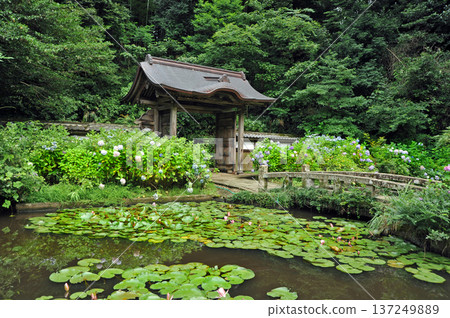 松江月照寺 松江月照寺 137249889