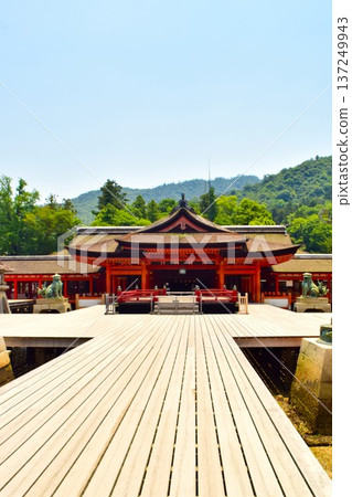 Itsukushima Shrine main hall, front view, blue sky and mountain range (Miyajima, Hiroshima) 137249943