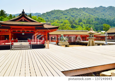 Itsukushima Shrine main hall under the blue sky - Traditional Japanese architecture 137249945