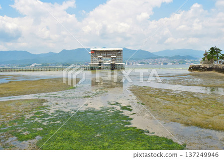 Miyajima's tourist attraction, Itsukushima Shrine's large torii gate. Low tide during restoration work. 137249946