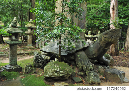 在Tsukiji寺廟的偉大的烏龜 137249962