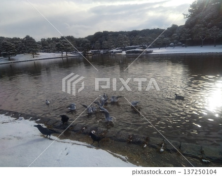 伊納格海濱公園的雪景 伊納格海濱公園的雪景 137250104