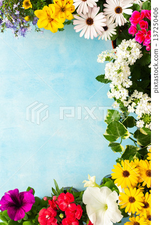 Colorful spring flowers adorn a home balcony, creating a lively atmosphere. The flowers include daisies, begonias, and petunias, celebrating the beauty of the season 137250406