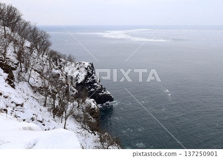 二月冬季北海道,冬季景色,世界自然遺產知床,從知床自然中心徒步前往芙蕾佩瀑布 二月冬季北海道,冬季景色,世界自然遺產知床,從知床自然中心徒步前往芙蕾佩瀑布 137250901