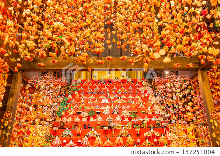 (Shizuoka Prefecture) Hinamatsuri Park Hina Dolls and Hanging Hina Dolls 137251004