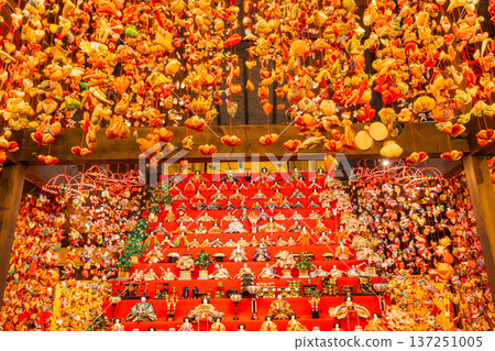 (Shizuoka Prefecture) Hinamatsuri Park Hina Dolls and Hanging Hina Dolls (Shizuoka Prefecture) Hinamatsuri Park Hina Dolls and Hanging Hina Dolls 137251005