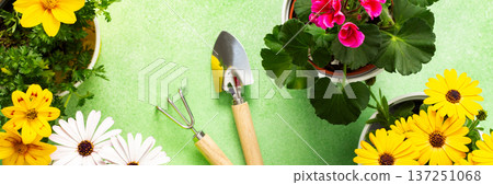 Colorful spring flowers in pots brighten a home balcony. Gardening tools are neatly arranged, ready for planting. This cheerful setup invites joy and beauty to the outdoor space, banner Colorful spring flowers in pots brighten a home balcony. Gardening tools are neatly arranged, ready for planting. This cheerful setup invites joy and beauty to the outdoor space, banner 137251068