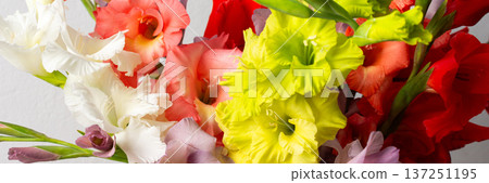 A vase holds a variety of colorful gladiolus including red and white blooms. The arrangement sits on a clean surface, adding a touch of nature to the indoor space, banner A vase holds a variety of colorful gladiolus including red and white blooms. The arrangement sits on a clean surface, adding a touch of nature to the indoor space, banner 137251195