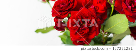 A vibrant bouquet of red roses fills a clear vase, showcasing the flowers' rich colors and lush green leaves, perfect for any occasion or home decor setting, banner A vibrant bouquet of red roses fills a clear vase, showcasing the flowers' rich colors and lush green leaves, perfect for any occasion or home decor setting, banner 137251281