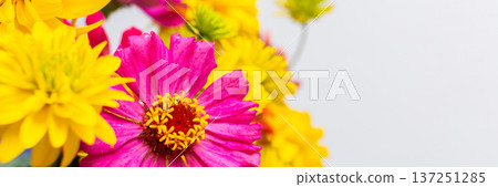 This vibrant bouquet of colorful Zinnia and Rudbeckia Goldquelle flowers brings a cheerful touch to home decor, ideal for a bright and seasonal summer arrangement, banner This vibrant bouquet of colorful Zinnia and Rudbeckia Goldquelle flowers brings a cheerful touch to home decor, ideal for a bright and seasonal summer arrangement, banner 137251285