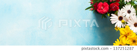 Colorful spring flowers decorate a home balcony, creating a vibrant atmosphere. This scene showcases various blooms against a bright blue background, enhancing the outdoor space charm, banner Colorful spring flowers decorate a home balcony, creating a vibrant atmosphere. This scene showcases various blooms against a bright blue background, enhancing the outdoor space charm, banner 137251287