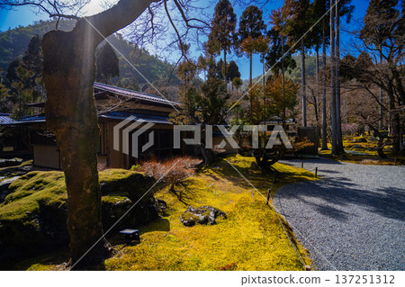 京都莊山日庭景觀 京都莊山日庭景觀 137251312
