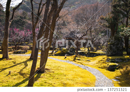 京都莊山日庭景觀 137251321