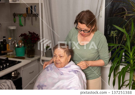 A woman uses a comb to cut her mother hair in the kitchen. They share a special moment together. The room is bright with plants nearby and tools hung on the wall A woman uses a comb to cut her mother hair in the kitchen. They share a special moment together. The room is bright with plants nearby and tools hung on the wall 137251388