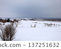 二月的北海道，冬季的北海道，冬季的知床，冬季的捨裡町，北海道東部可見的通往天空的道路，天空之路，以及偶爾出現的鹿 137251632