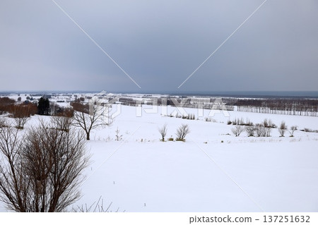 二月的北海道，冬季的北海道，冬季的知床，冬季的捨裡町，北海道東部可見的通往天空的道路，天空之路，以及偶爾出現的鹿 137251632