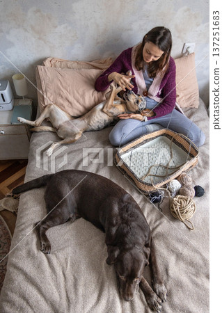 top view of a woman, a person sitting on bed with a basket of yarn and two dogs. 137251683