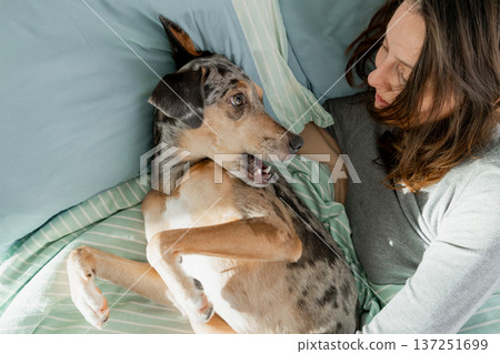 sleepy spotted Dog lies on bed under blanket with its owner, young woman is asleep.  137251699