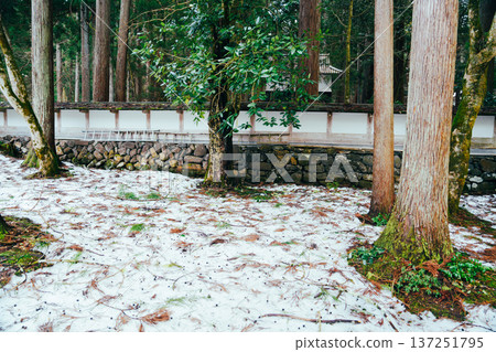 福井平泉寺白山神社 福井平泉寺白山神社 137251795