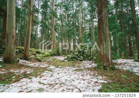 福井平泉寺白山神社 137251829
