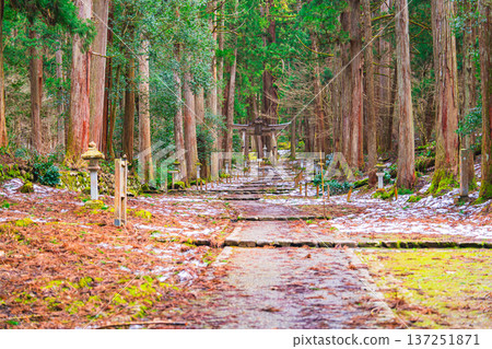 福井平泉寺白山神社 137251871