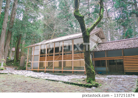 福井平泉寺白山神社 福井平泉寺白山神社 137251874