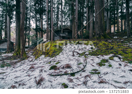 福井平泉寺白山神社 137251883