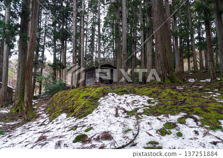 福井平泉寺白山神社 137251884