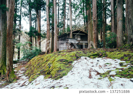 福井平泉寺白山神社 137251886